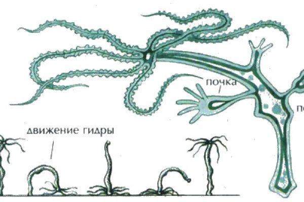 Кракен ссылка тор