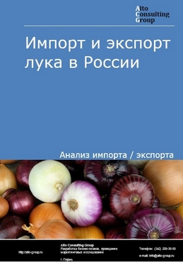 Kraken darknet ссылка тор