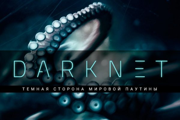 Кракен маркет даркнет только через торг