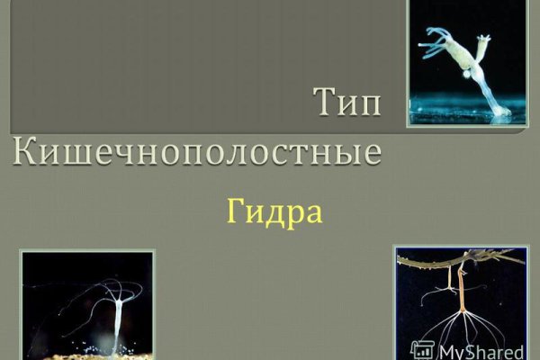 Как найти официальный сайт кракен
