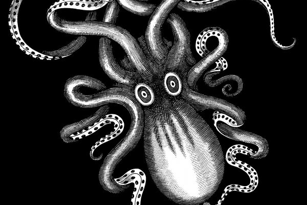 Kraken 11at