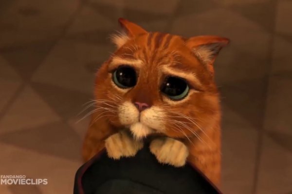 Можно ли зайти на через обычный браузер