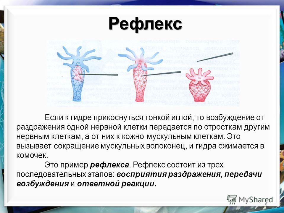 Гидра даркнет рынок