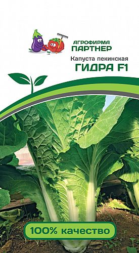 Кракен маркетплейс зайти